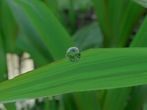 红色沙漠水珠反射惊艳玩家,八年打磨引热议