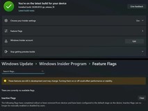 微软为Win11开发功能标识实验界面,用户可自主管理隐藏特性