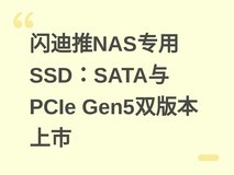 闪迪推NAS专用SSD:SATA与PCIe Gen5双版本上市