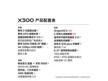 vivo X300幸运彩版直降300