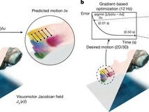 MIT研发视觉深度学习技术,助力软体机器人自适应运动控制