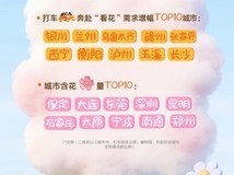 清明出行高峰:网约车、AI打车与自驾游全面升温