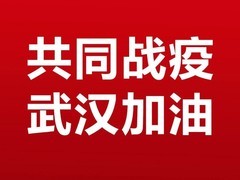 �ļ�������������־��� ��Ԯ�人����ɽҽԺ