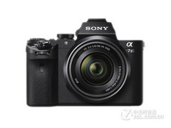 晨雾中的朱鹮，暮色里的羚羊——用对相机才能留住它们