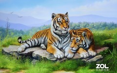 三十岁了 家用大屏应该选择什么产品？