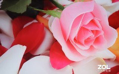 三十岁了 家用大屏应该选择什么产品？