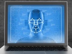 科学家开始用AI算法来精准识别鸟类