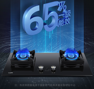 喜获烟灶年度销量“三冠王”，华帝如何引领厨电行业高端化？