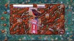 模拟游戏游戏哪个最好玩 最新模拟游戏游戏排行榜