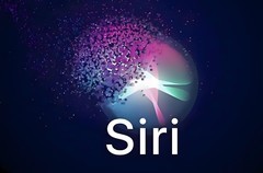 苹果 AI：是“崩塌”还是“成长的烦恼”？