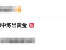 小米车标被炼出黄金？二手平台现“平替款”销售热潮