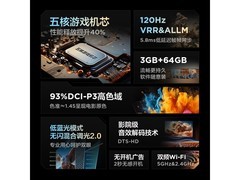 雷鸟鹏6 24款一级能效电视55英寸限时特惠