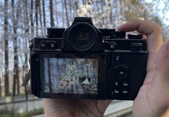 春天不能错过的樱花人像 尼康Z f+Z 85mm f/1.8 S实拍体验