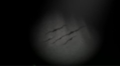 黑暗游戏大全 十大经典黑暗游戏推荐