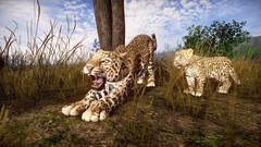 狩猎游戏有哪些好玩 好玩的狩猎游戏排行