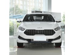 五款30万内紧凑轿车推荐，电动化与驾驶质感如何兼得？