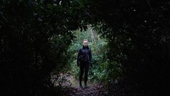 全动态影像游戏哪些好玩 下载量高的全动态影像游戏盘点