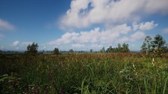 生活模拟游戏下载 下载量高的生活模拟游戏排行榜