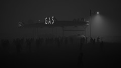 丧尸游戏哪些值得玩 下载量高的丧尸游戏排行榜