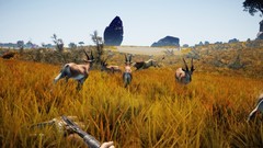 狗游戏哪些好玩 十大必玩狗游戏推荐