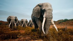 末日游戏推荐哪个 下载量高的末日游戏推荐