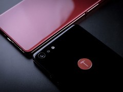 网传字节将发布新款锤子手机？官方回应