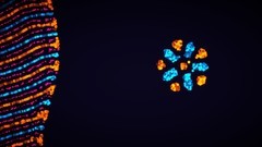 科学游戏有哪些好玩 人气高的科学游戏排行榜