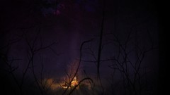 黑暗游戏哪些人气高 热门黑暗游戏精选