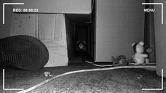 地下游戏哪个好 十大耐玩地下游戏推荐