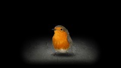 指向 & 点击游戏有哪些 最热指向 & 点击游戏排行榜