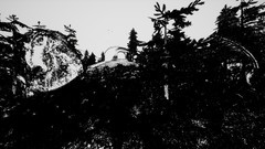 记叙游戏哪些值得玩 十大必玩记叙游戏盘点