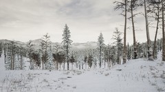 子弹时间游戏推荐哪个 好玩的子弹时间游戏盘点