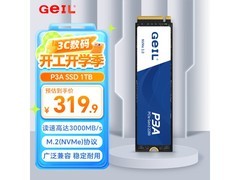 固态硬盘白菜价了！ 金邦 GeIL 1TB SSD仅需258元