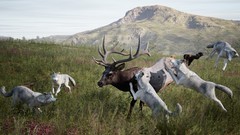 低容错游戏哪些值得玩 热门低容错游戏排行榜