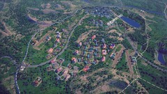 即时含暂停游戏哪些值得玩 2024即时含暂停游戏推荐