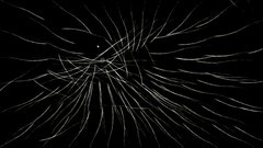 音乐动态生成游戏大全 人气高的音乐动态生成游戏推荐