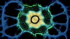 科学游戏哪个最好玩 最热科学游戏精选