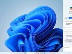 装了这些Win11的电脑千万别更新！微软紧急叫停安全更新