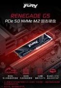 Kingston FURY Renegade G5评测 最速PCIe5.0固态硬盘诞生