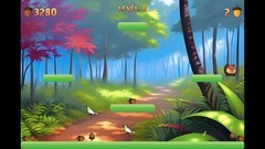 鸟游戏哪些人气高 热门鸟游戏精选