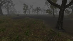 职业导向游戏有哪些 最新职业导向游戏精选