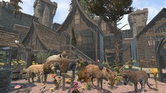 射箭游戏哪些值得玩 人气高的射箭游戏精选