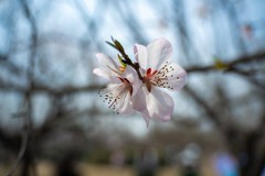 一镜走天下的魅力 尼克尔Z 28-400mm f/4-8 VR镜头体验