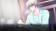 视觉小说游戏哪个好玩 下载量高的视觉小说游戏排行