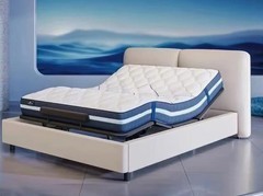 十几万价格买张床 智能床是割韭菜还是真刚需？