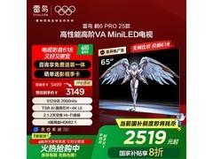 雷鸟65英寸鹤6 Pro 25款MiniLED电视限时特惠