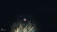 超现实游戏有哪些好玩 十大必玩超现实游戏推荐