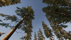 开放世界生存制作游戏哪些好玩 高人气开放世界生存制作游戏精选