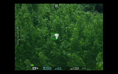 翎影惊鸿——富士GFX100 II+GF500mm F5.6生态摄影体验