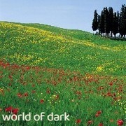 二战游戏哪个最好玩 高人气二战游戏盘点